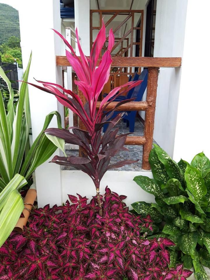 Bella Vita Guest House Đảo Đảo Coron Ngoại thất bức ảnh